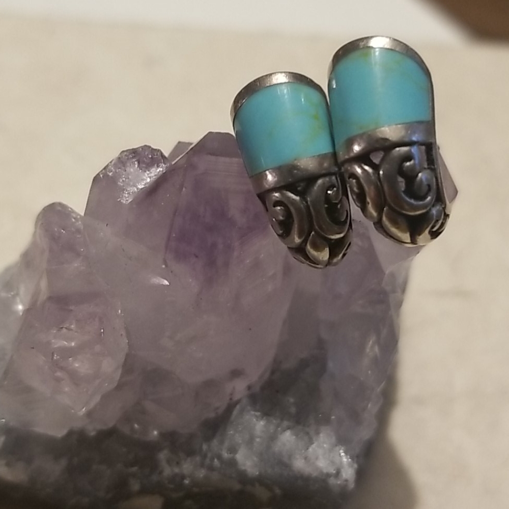 Silver and Turquoise earrings